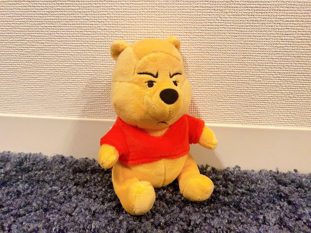 とうとうあの顔がぬいぐるみになってた（すぐ買った） 