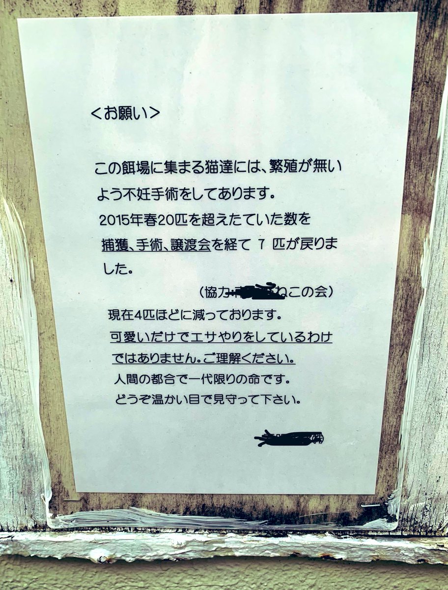 このあたりに住みつく野良猫にエサを与えている穏やかな不動産屋のおじいさんがいる