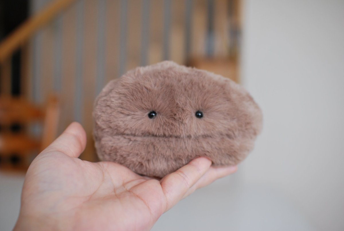 穏やかなコーヒー豆です 