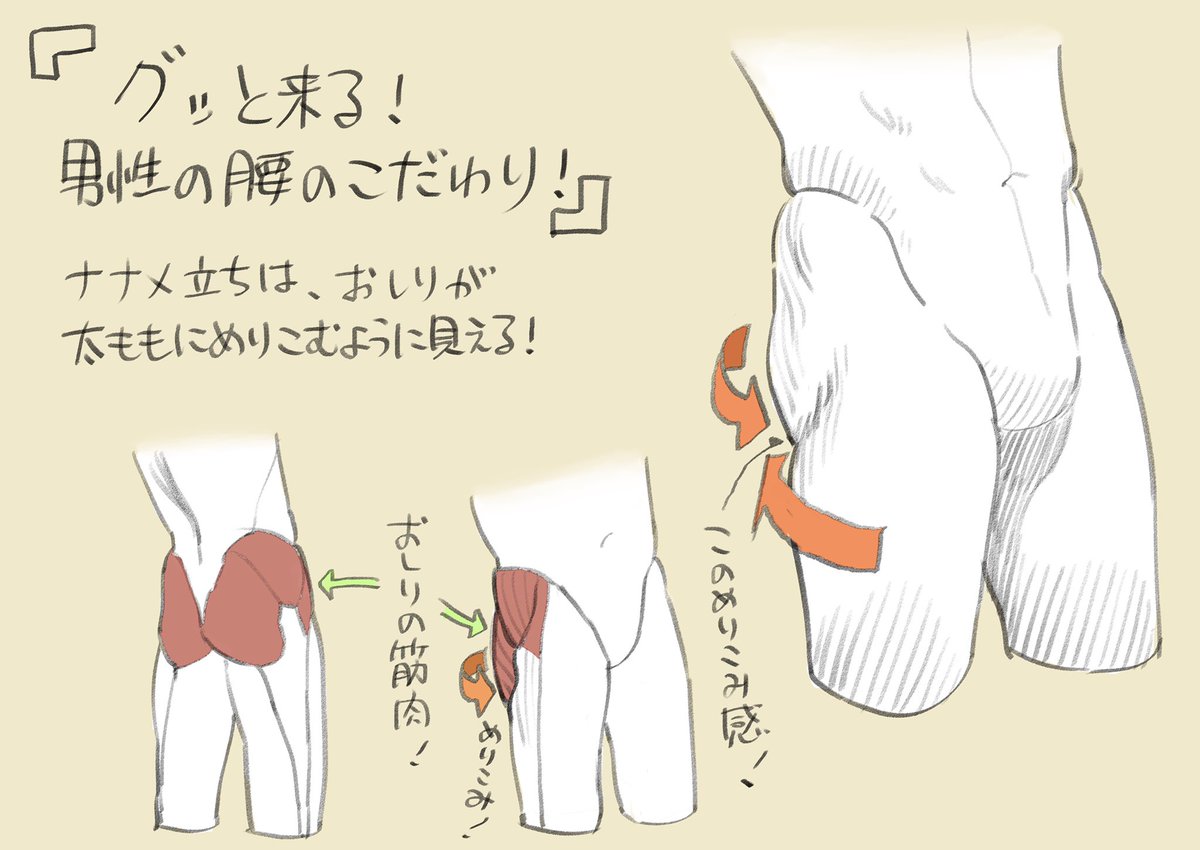 こだわり強め！ 骨盤周り攻略ポイント！ 