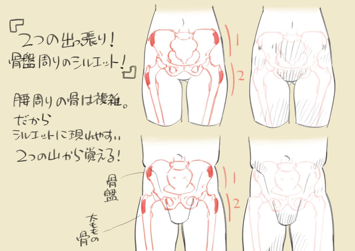 こだわり強め！ 骨盤周り攻略ポイント！ 
