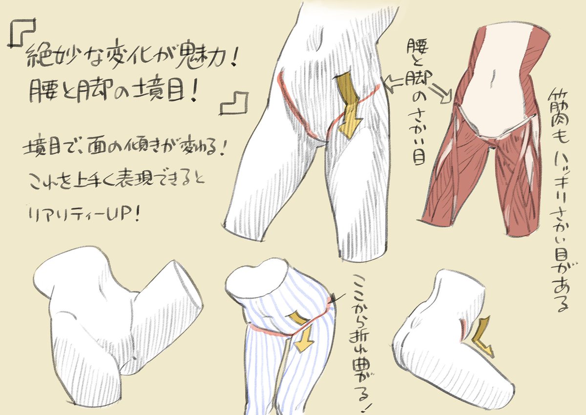 こだわり強め！ 骨盤周り攻略ポイント！ 