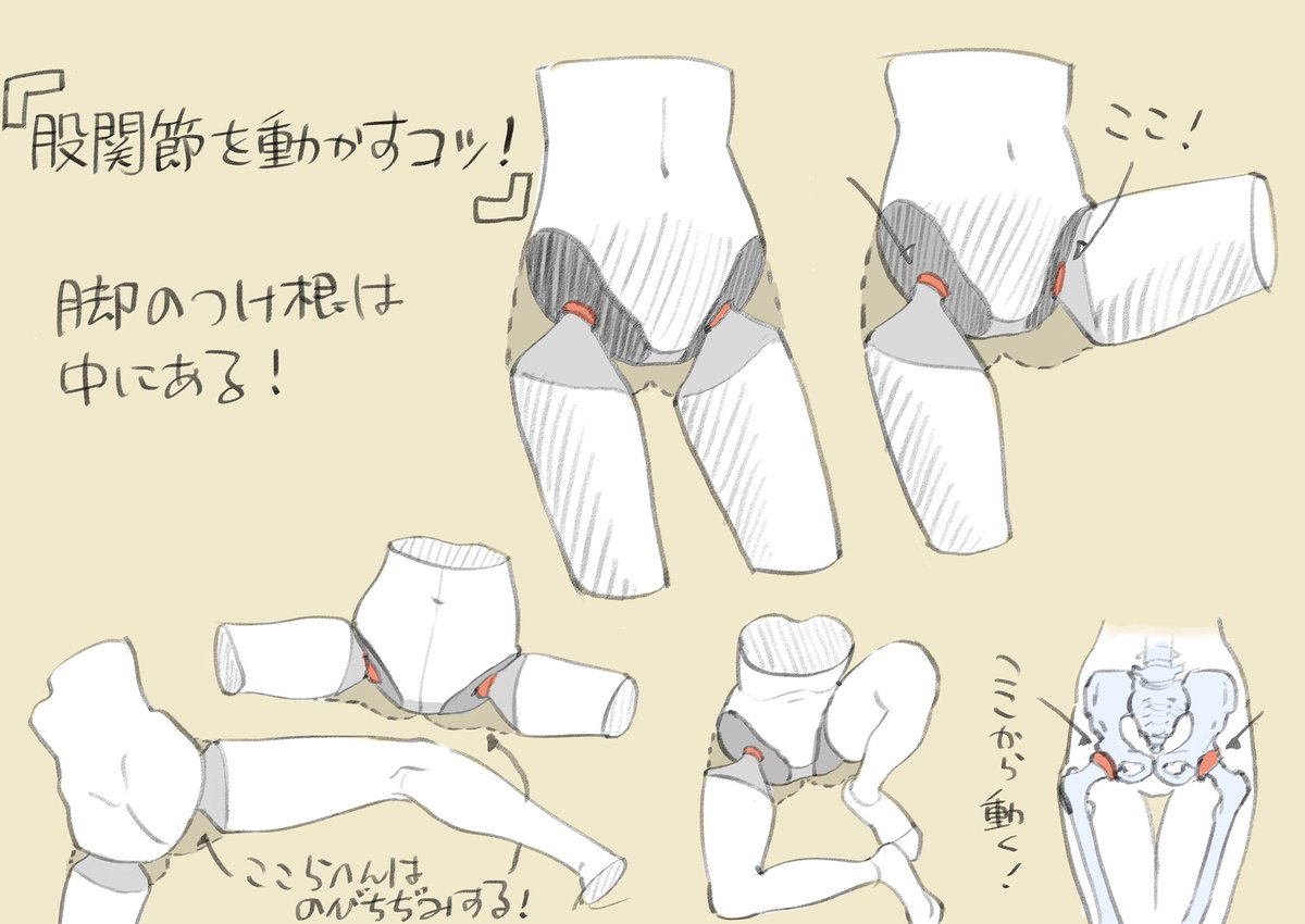 こだわり強め! 骨盤周り攻略ポイント!