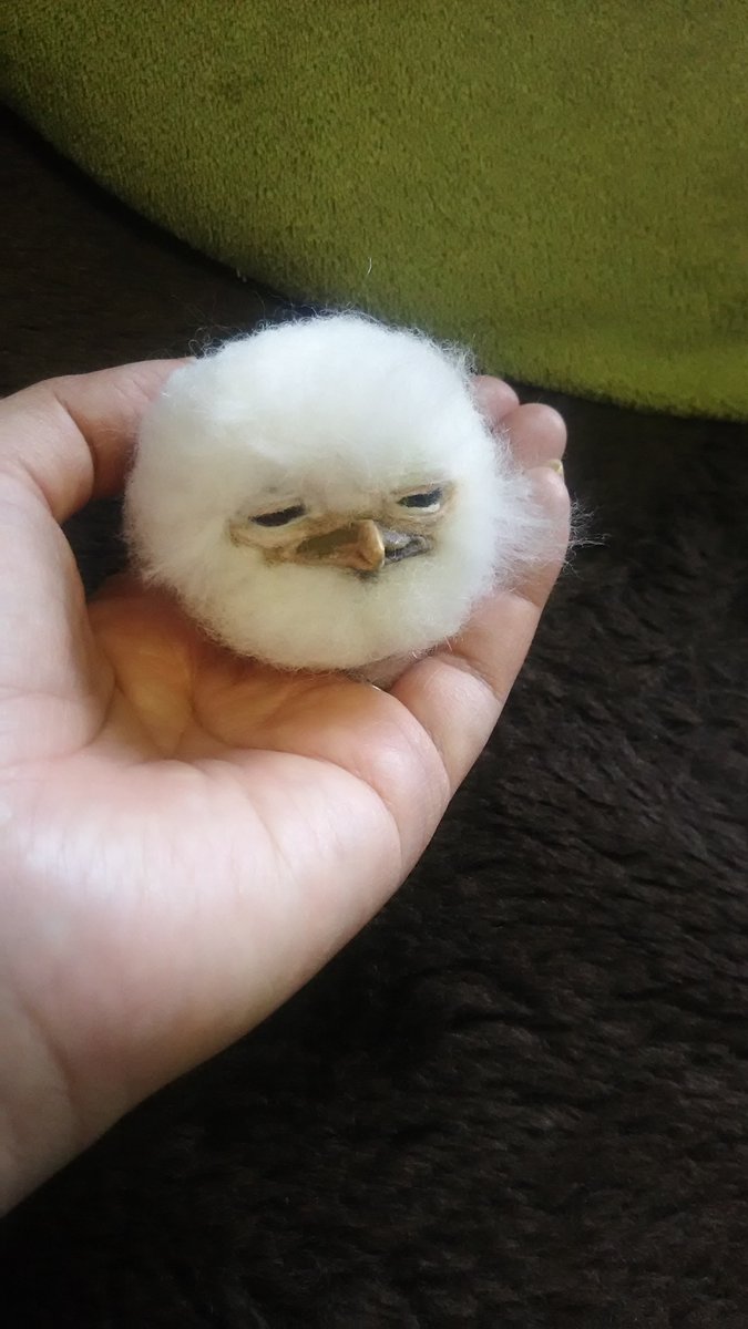 毛玉じゃないよ！ ガマグチヨタカの雛です ＃ひな祭り 