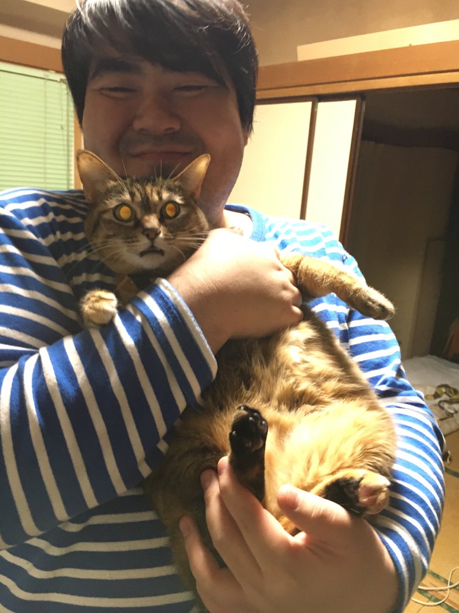 222だから実家の猫が嫌そうな顔してる写真置いときますね4 