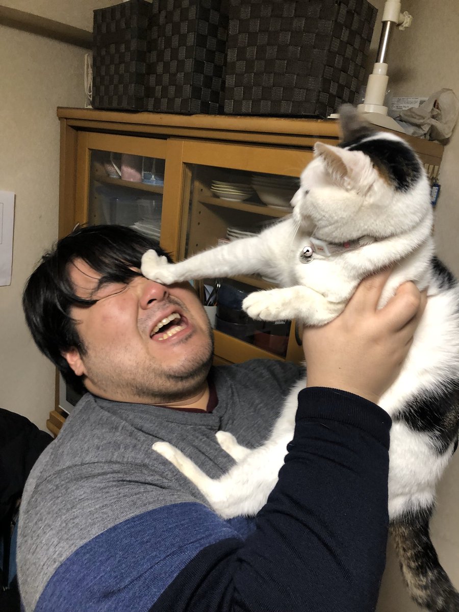 222だから実家の猫が嫌そうな顔してる写真置いときますね4 