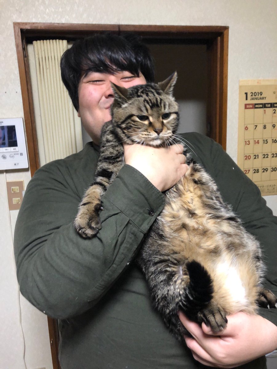 222だから実家の猫が嫌そうな顔してる写真置いときますね4 