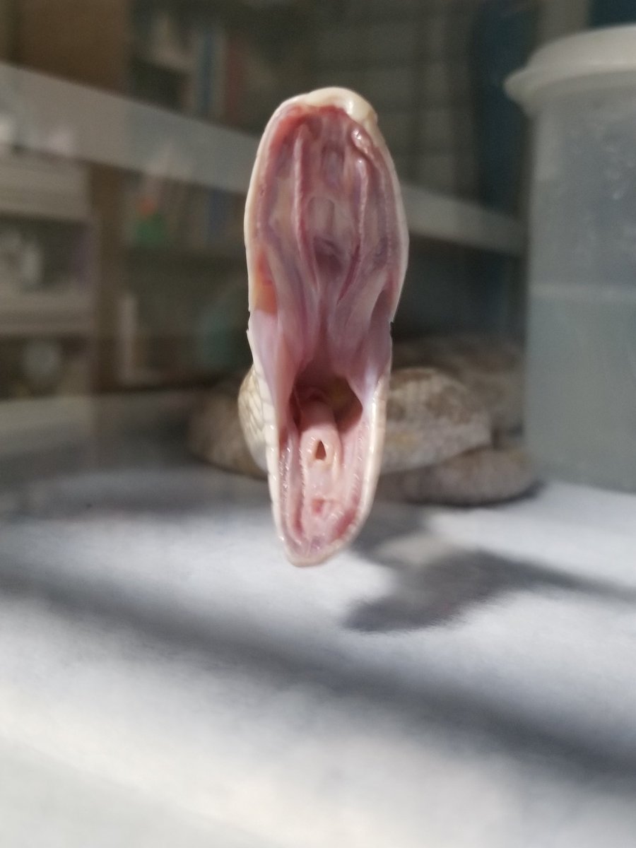 滅多に撮れない奇跡だよ