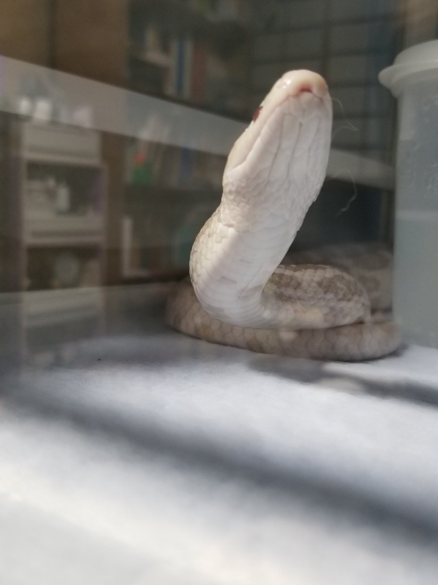 滅多に撮れない奇跡だよ