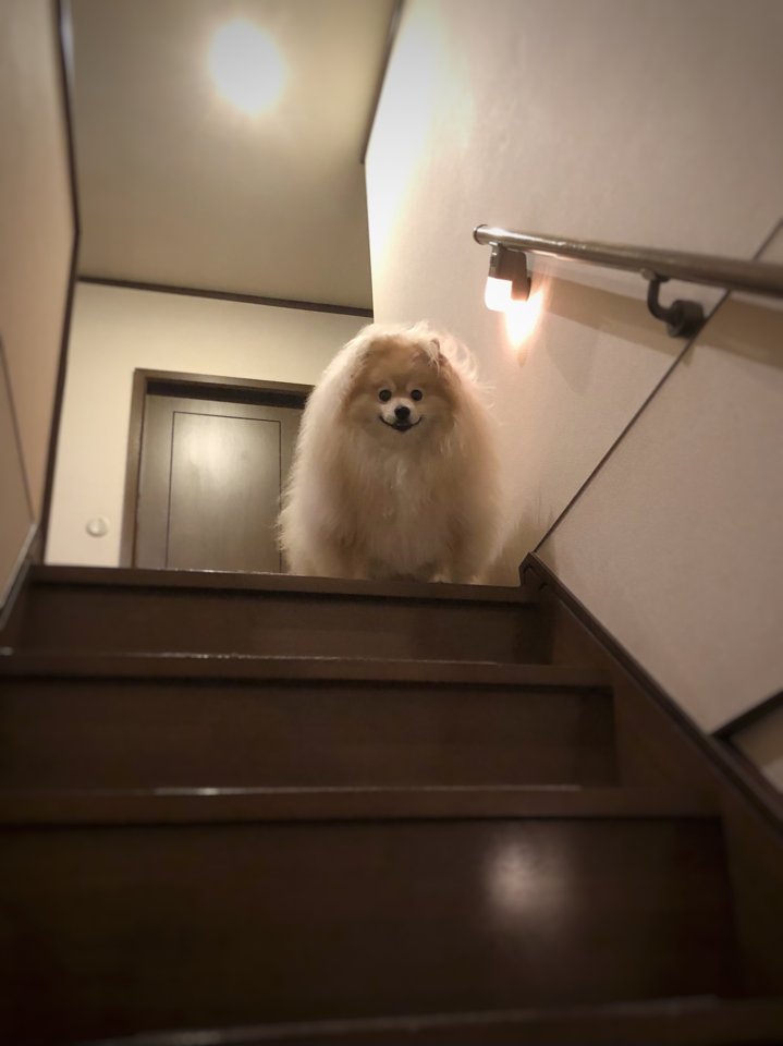 イエティなんだよなぁ 