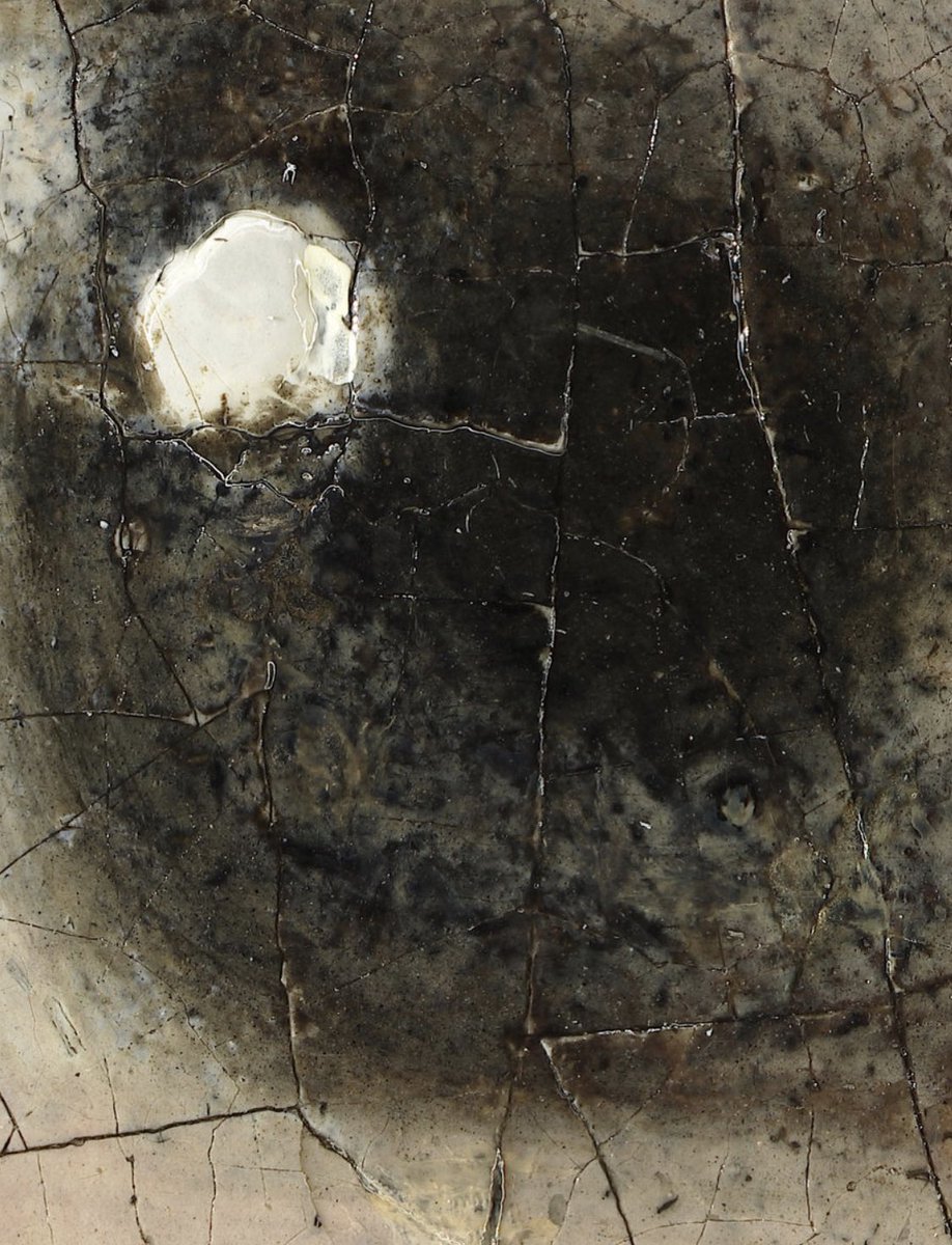 コレ凄い......100億画素で撮られた真珠の耳飾りの少女。 