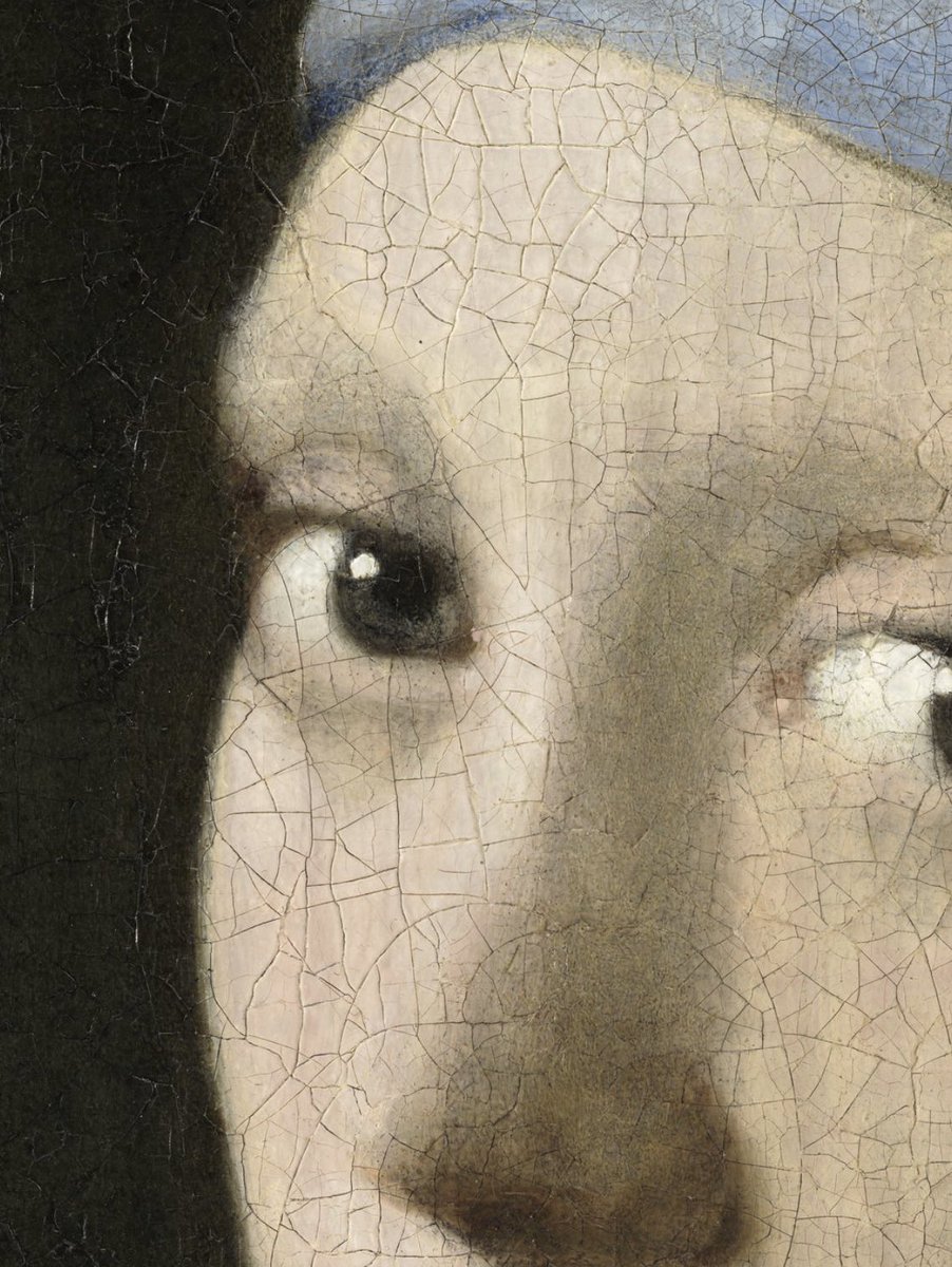 コレ凄い......100億画素で撮られた真珠の耳飾りの少女。 