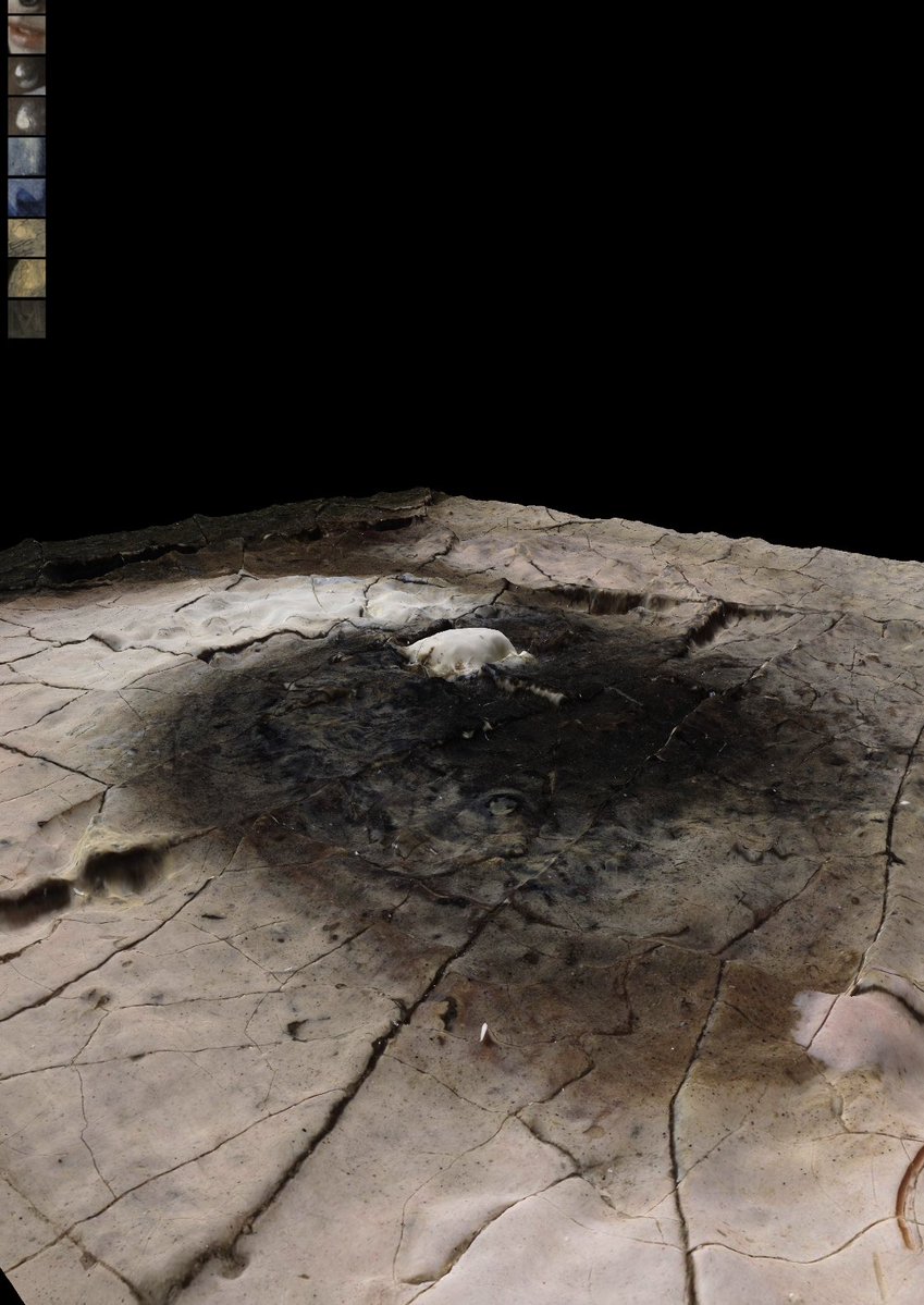 コレ凄い......100億画素で撮られた真珠の耳飾りの少女。