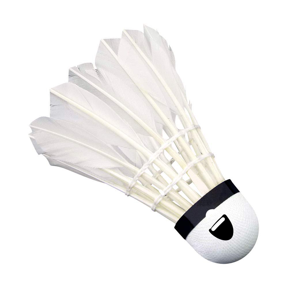 五条シャトルなんでバズらんの？ 