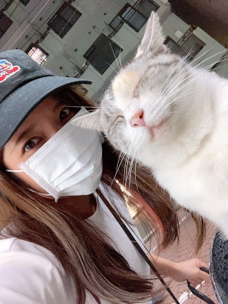 猫がバイク乗ってるwwwwて思ったらガチ寝してて起きないんだけどwwwww可愛すぎんwwwwww 