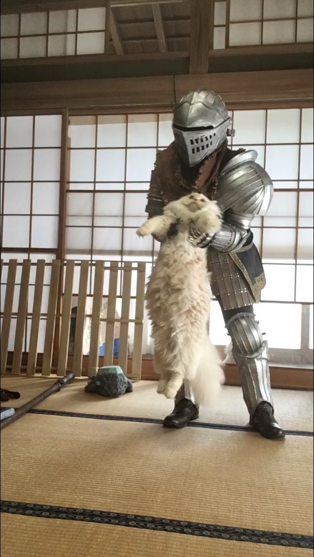 #レイヤーさんはコスプレの時のオフショットを晒して下さい  撮影前に侵入してきた猫を送還する瞬間 