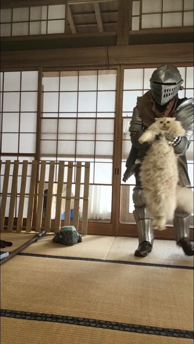 #レイヤーさんはコスプレの時のオフショットを晒して下さい  撮影前に侵入してきた猫を送還する瞬間 