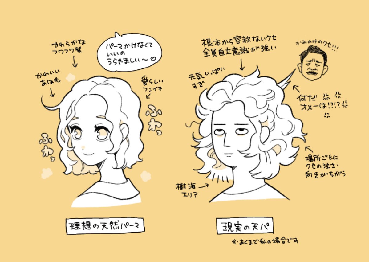 天然パーマとの戦い 