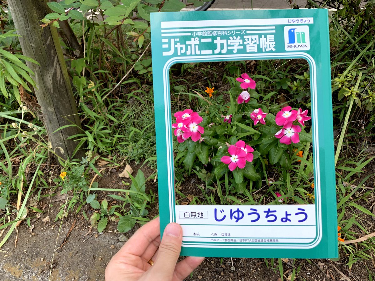 じゆうちょうの聖地巡礼したときの写真 #お前よくぞそんなもん撮ってたな選手権 