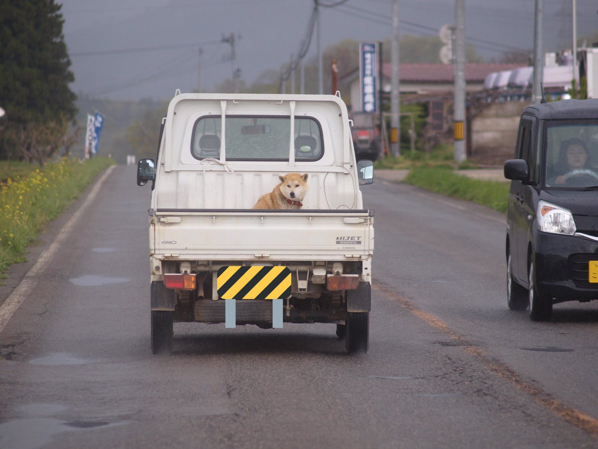 田舎に在りがちな軽トラオプション。 