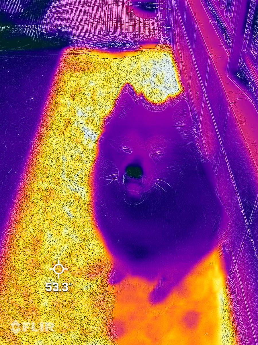 サマーカットについて理系の立場から図にまとめました