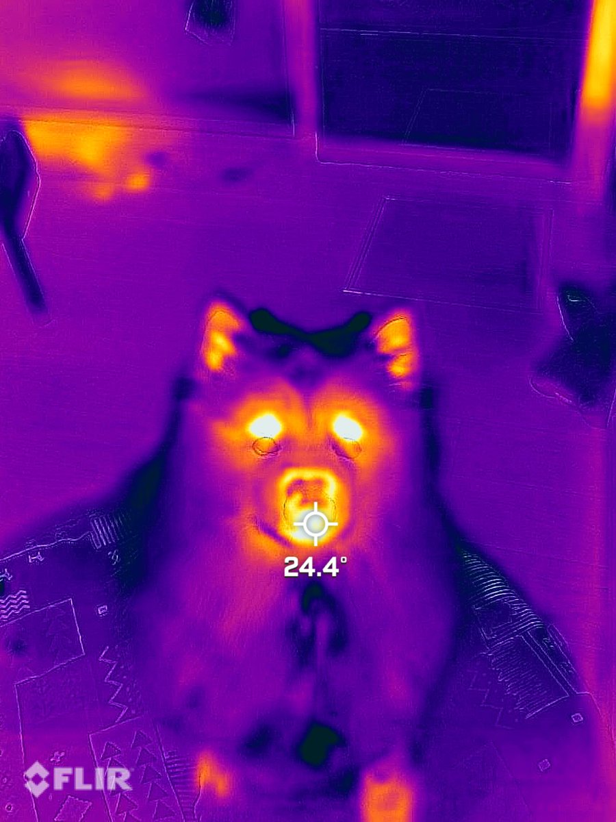 サマーカットについて理系の立場から図にまとめました