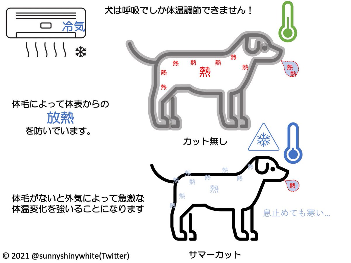 サマーカットについて理系の立場から図にまとめました