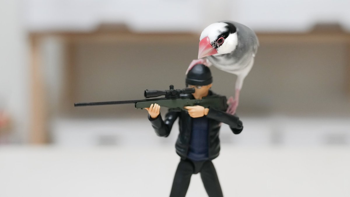 赤井秀一に射撃の指導をする文鳥 