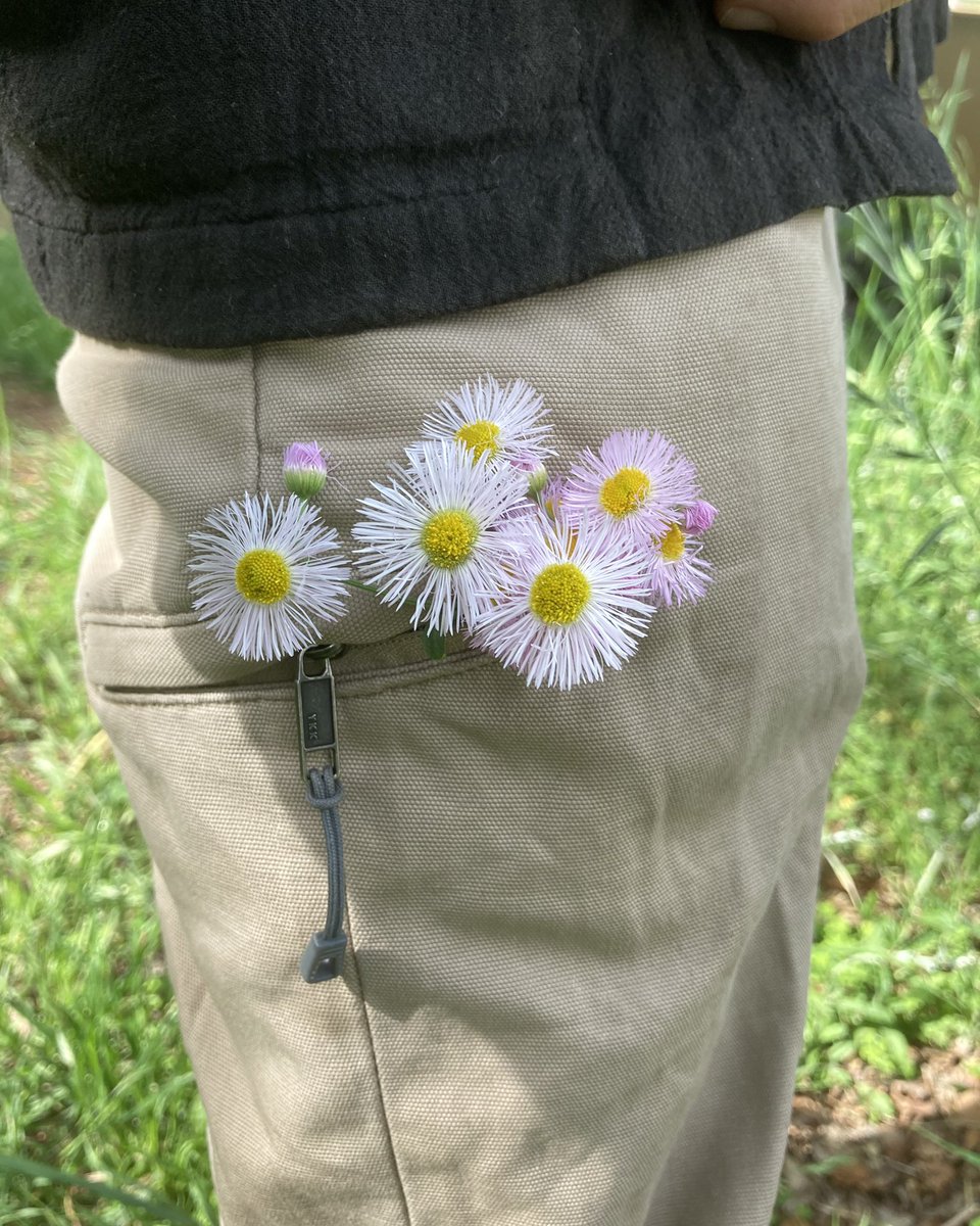 花を摘んで父のポケットに入れるブームが到来中の娘。 