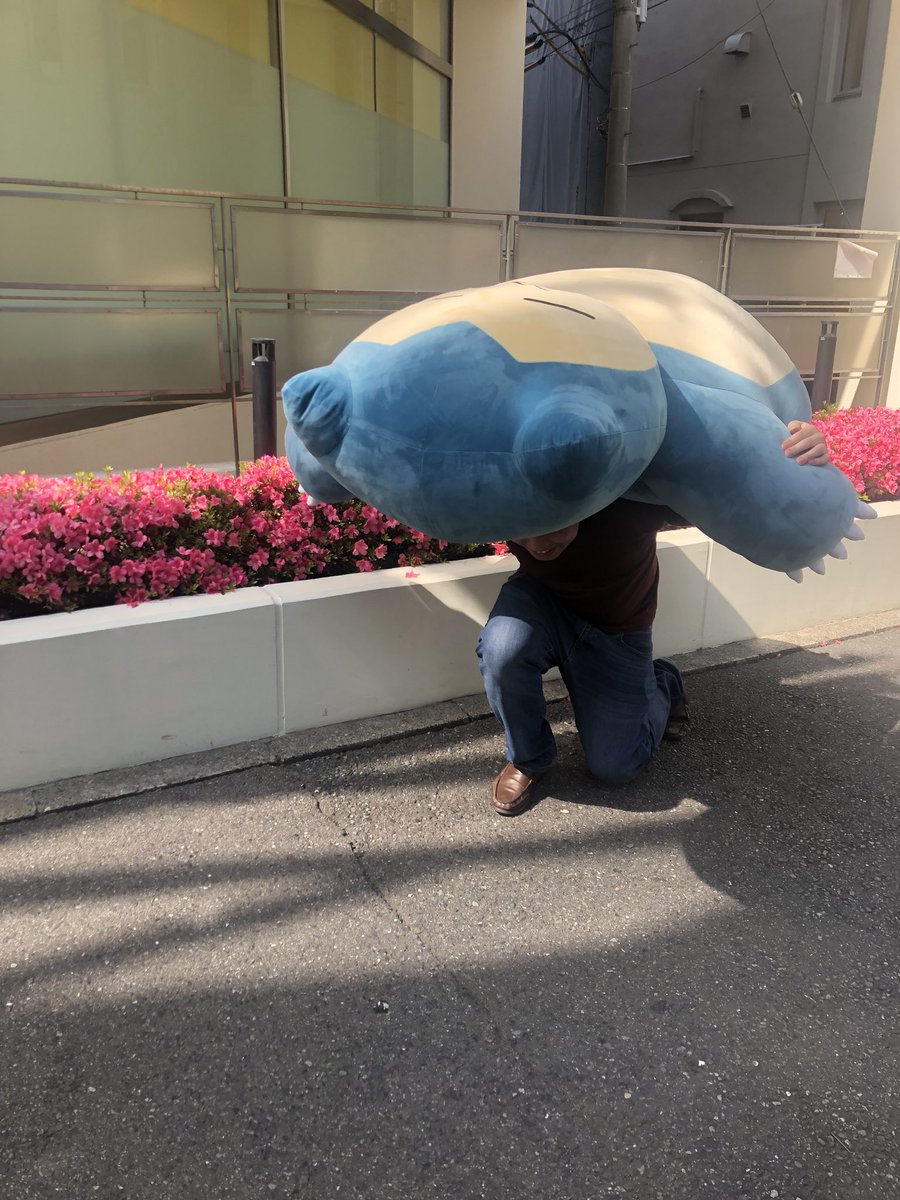 引っ越し業者の人に巨大カビゴンぬいぐるみ運んでもらってるけど、ポケスぺのカイリキーみたいになってて凄かった 