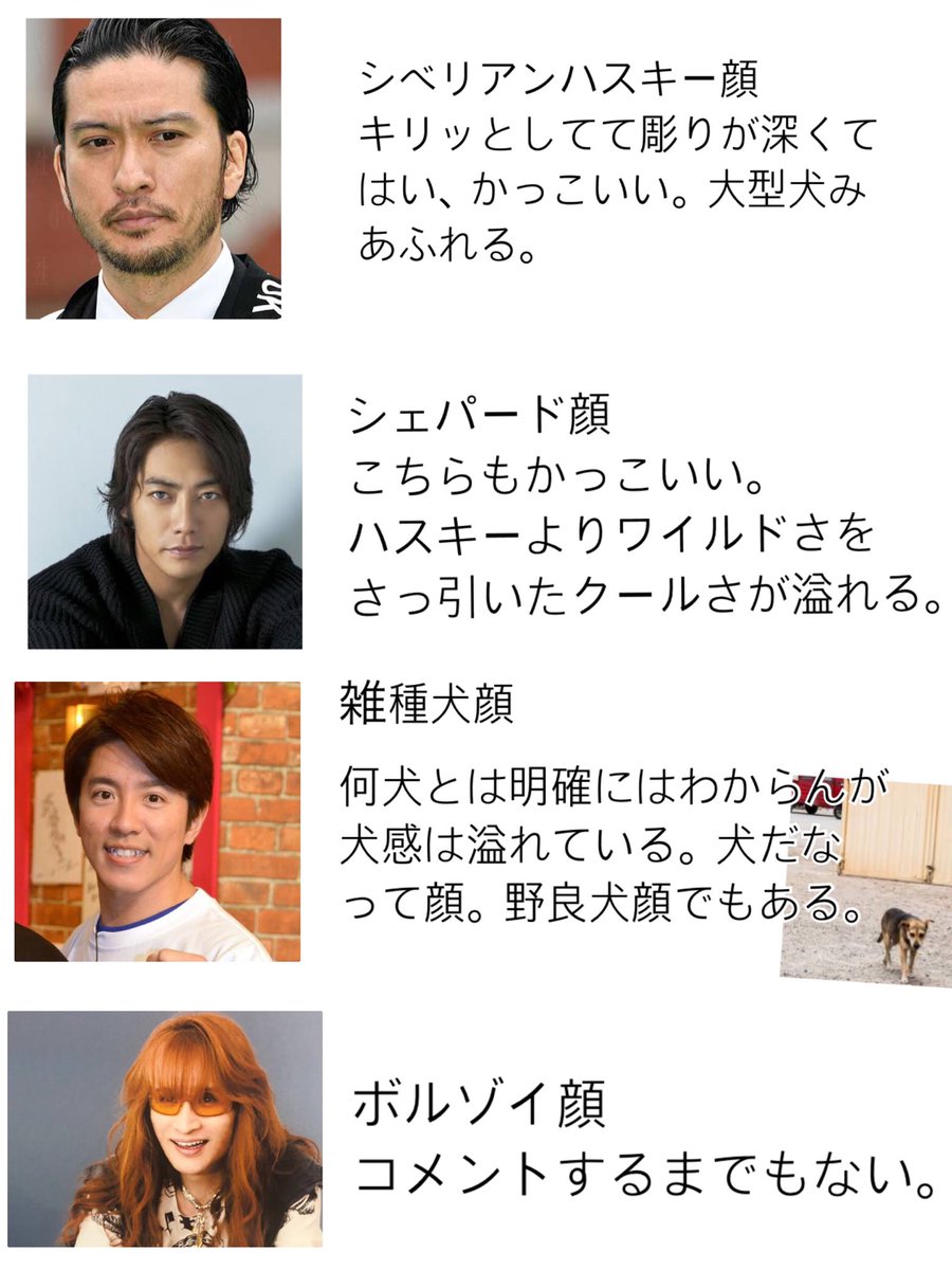 犬顔が好きだけど犬顔っていっても色んな犬顔があるよなって思い立ったので作りました
