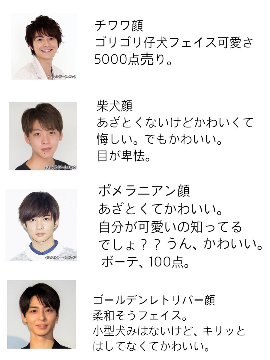 犬顔が好きだけど犬顔っていっても色んな犬顔があるよなって思い立ったので作りました