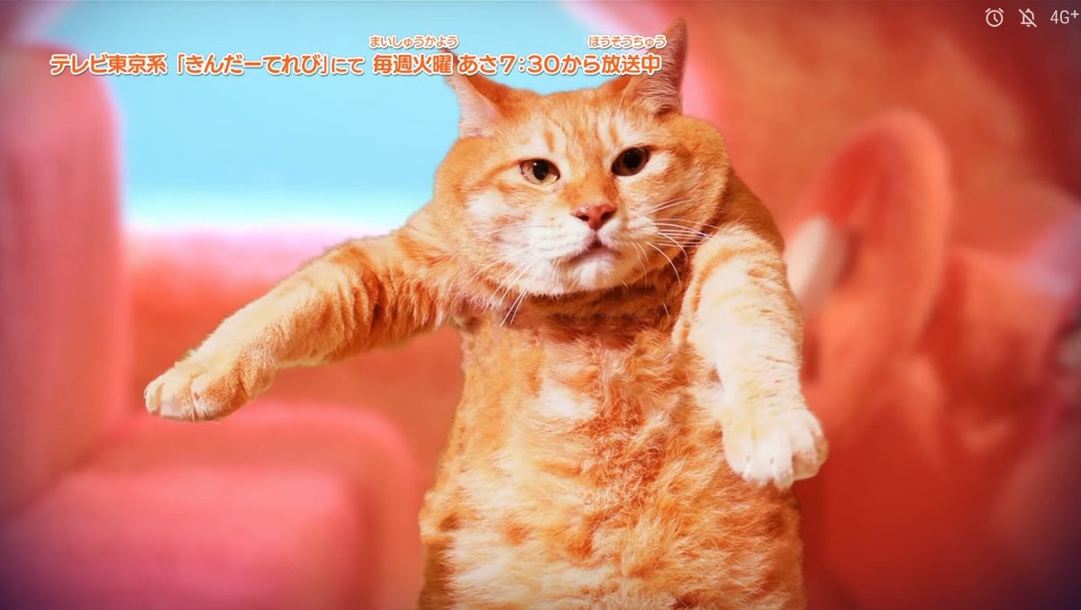 モルカー3話の「車内にいるネコ」が明らかにスタッフさんから抱きあげられた状態なのに優しさを感じた 