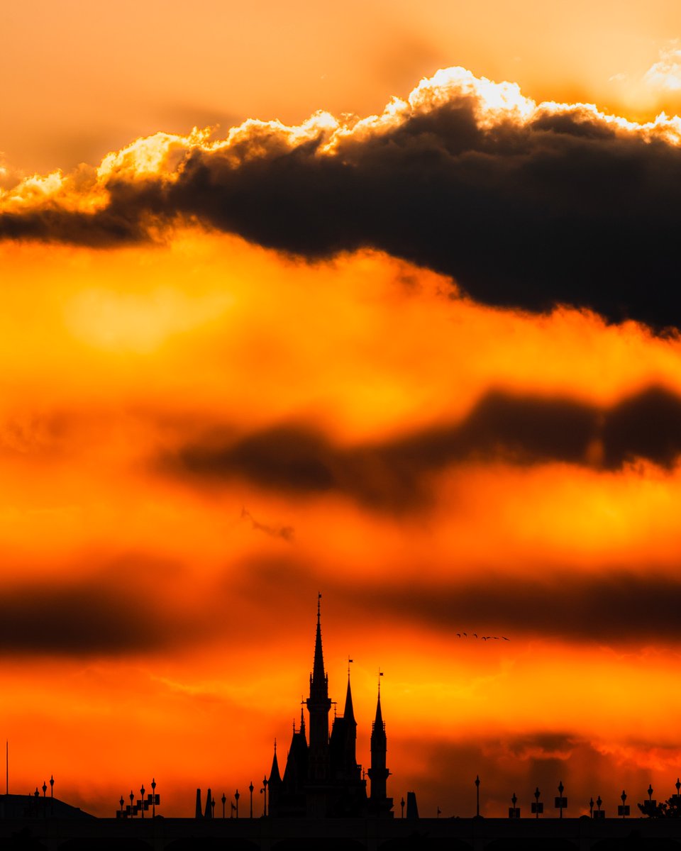 シンデレラ城が完全に魔王の城になってた。 