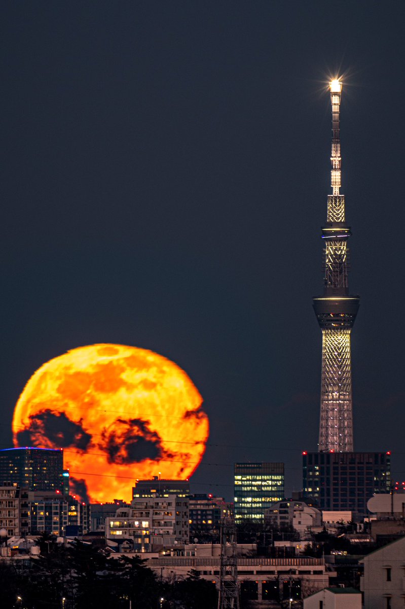 超望遠レンズで撮った写真が地球滅亡みたいになってた。 