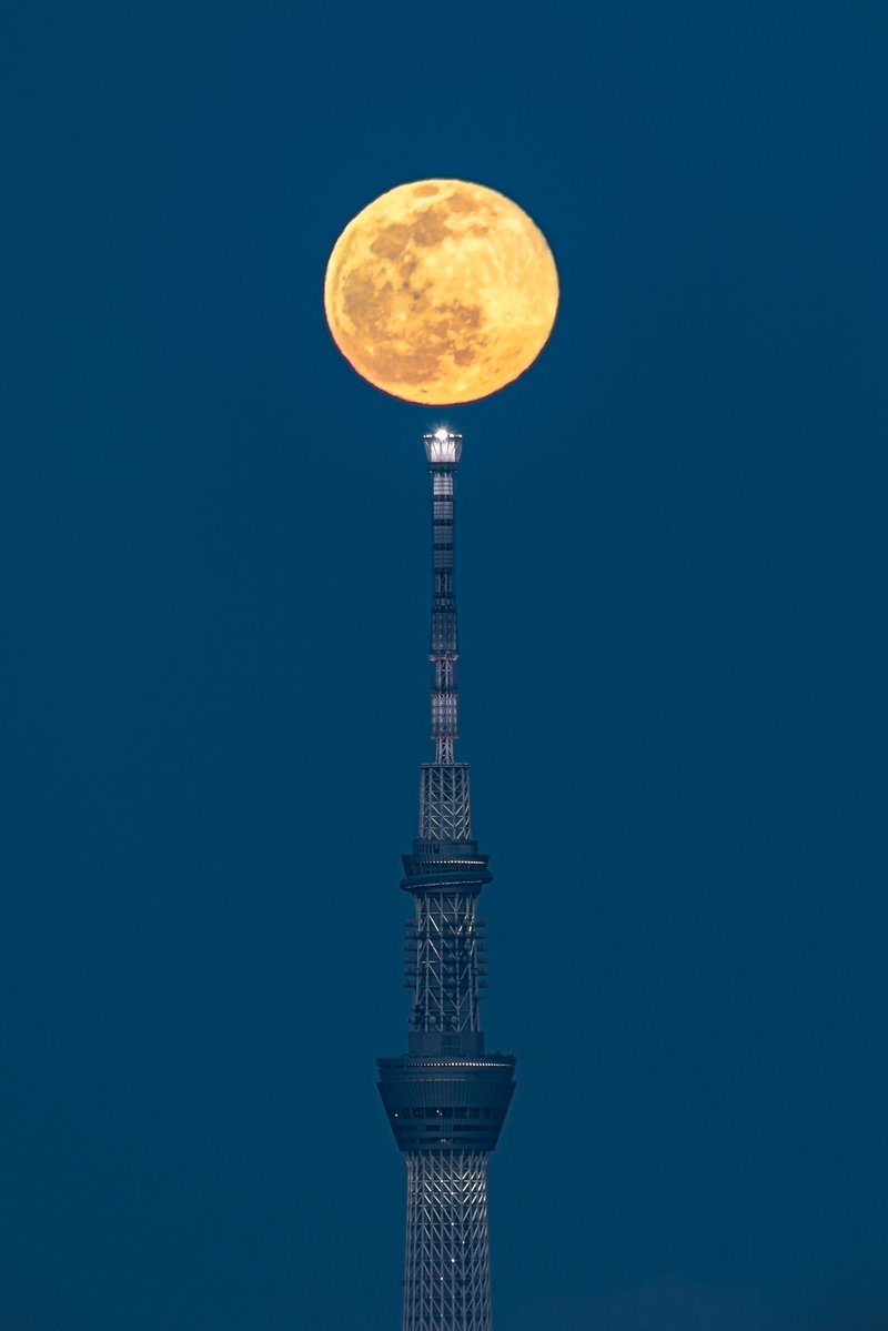 スカイツリー頂上に咲く月が美しい。 