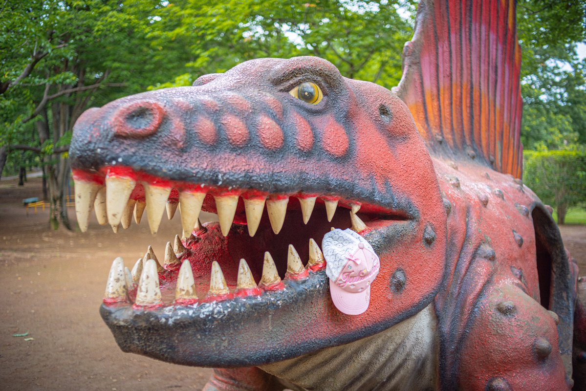 落ちてた帽子を誰かが親切で掛けてくれたんだろうけど、女児食べられたみたいになってる😭 