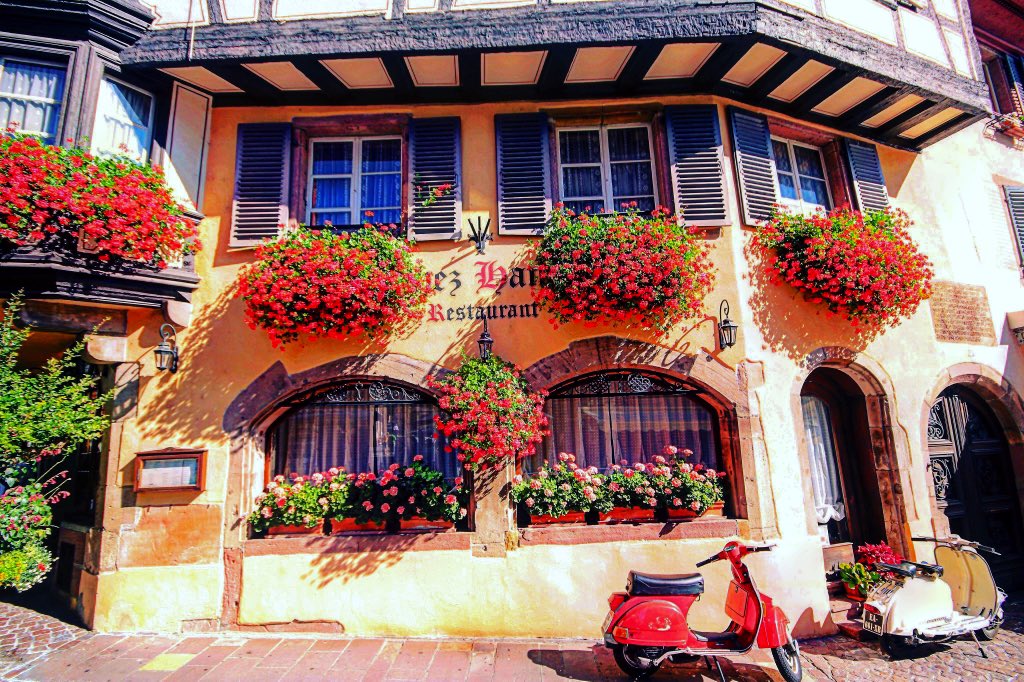 これはディズニーとジブリ 両方、もしくは片方を愛する 全人類にお伝えしたいんやけど フランスのコルマールってとこは “美女と野獣” “ハウルの動く城” という２つの名作の モデルとなった場所で 街の雰囲気が非常に可愛く 一歩足を踏み入れると 映像の世界に迷い込んだ 気持ちになれるから超おすすめ 