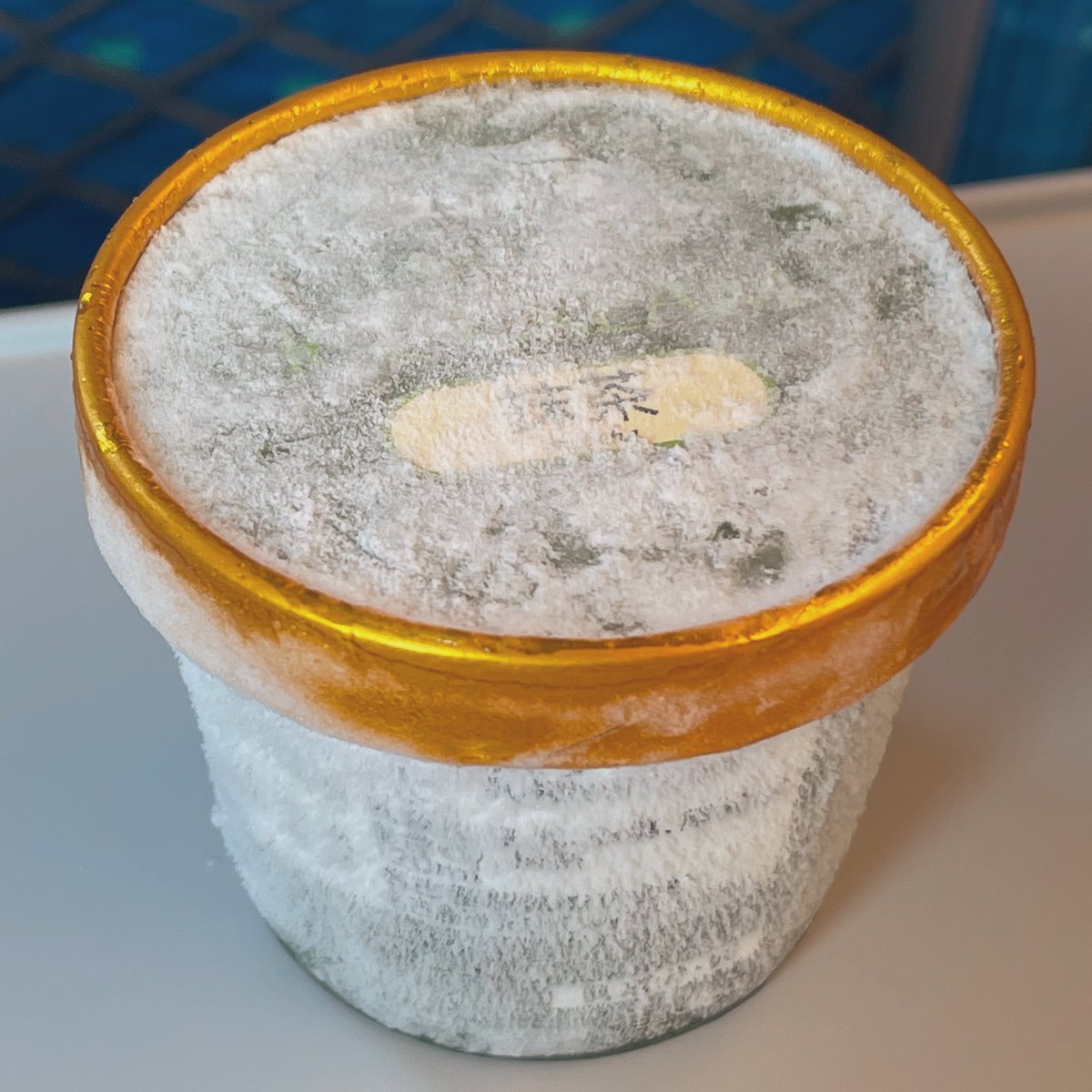 シンカンセンスゴクカタイアイス、乗客がらがらで、売れないせいなのか、過去最大級に硬い、、、🥺🍨 