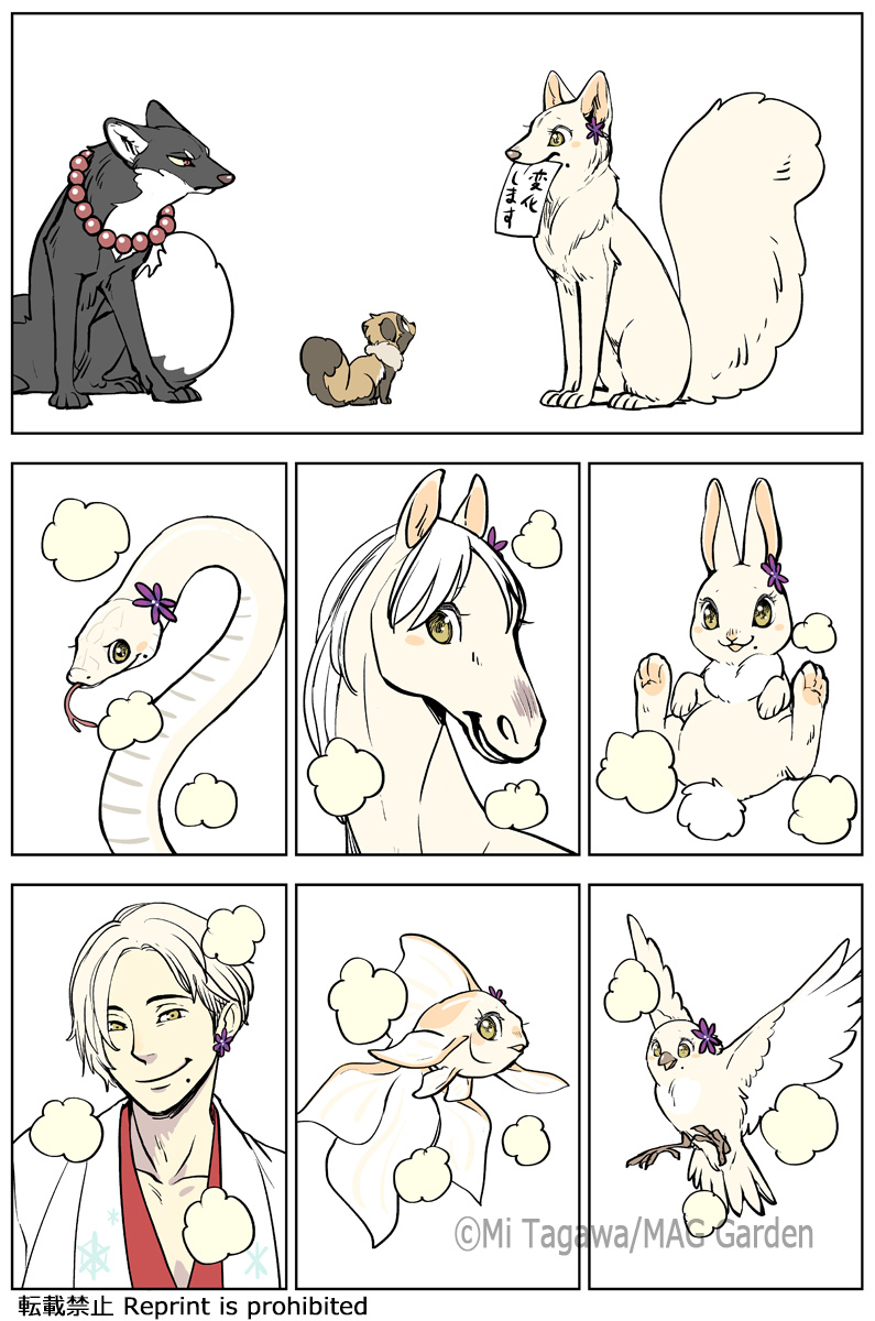 女狐の七変化  #こりせんまん 