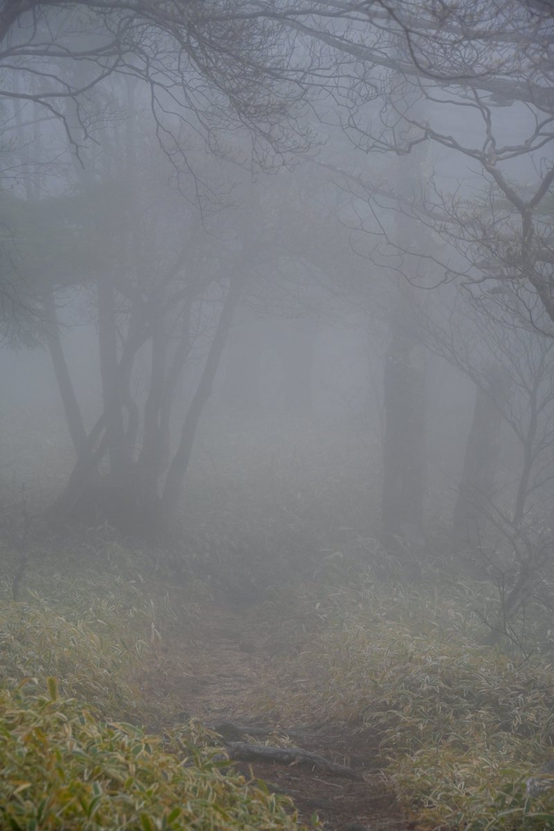 なんか嫌な予感がしたので下山しました