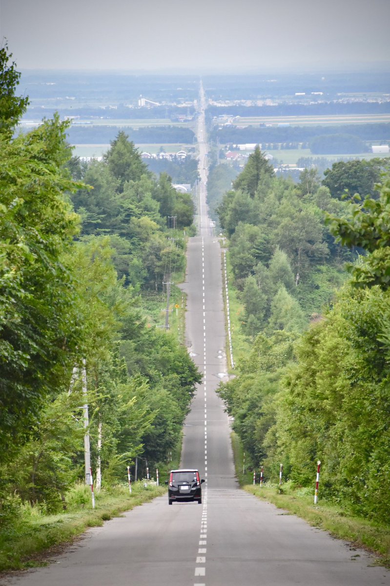 北海道の本気の直線、見ます？＞RT 