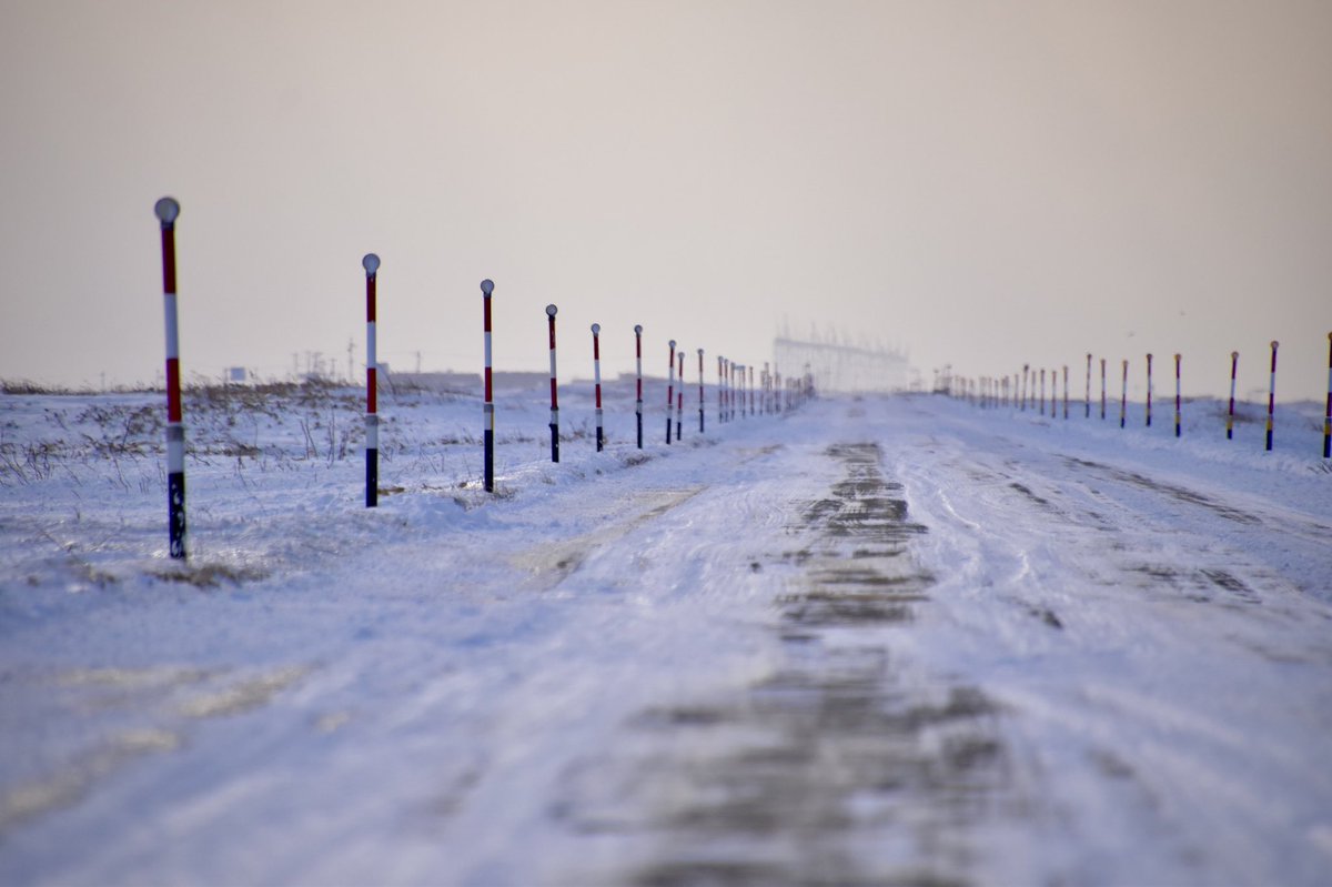 北海道の本気の直線、見ます？＞RT 