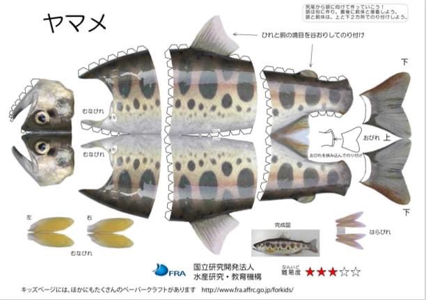 水産庁のホームページにあるペーパークラフトが最高すぎる