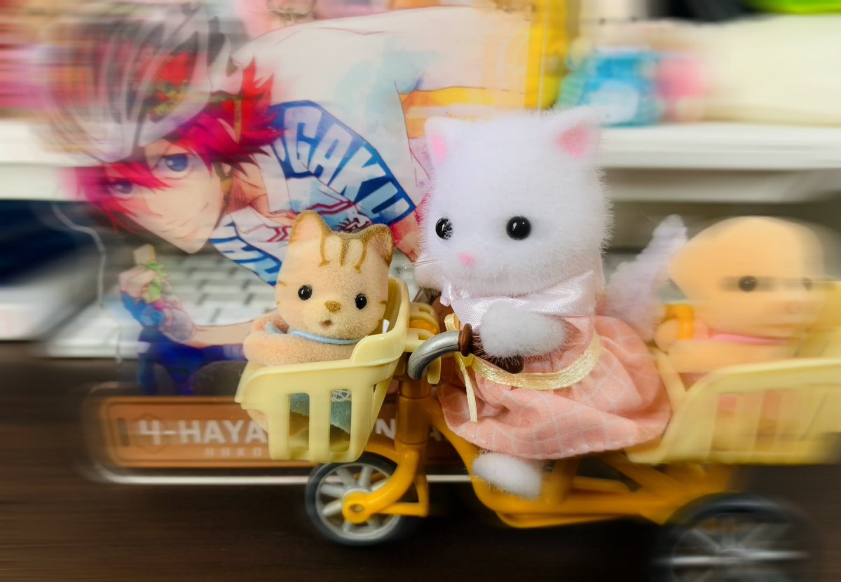 箱根の直線鬼と並ぶ速さの シルバニアを爆誕させてしまった🚲 