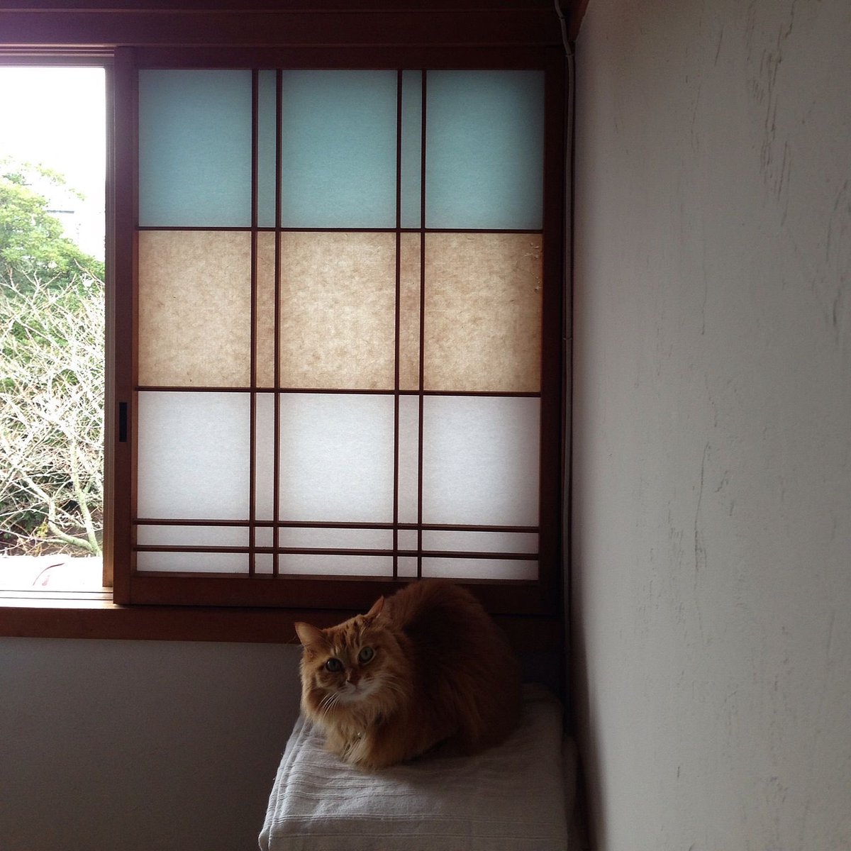 障子紙をカラフルな和紙や包装紙に変えてレトロモダンにしたインテリアの例 