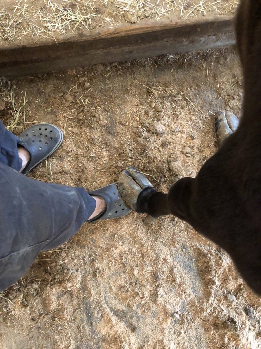 隣の女性にさりげなくボディタッチされて脈アリな僕 