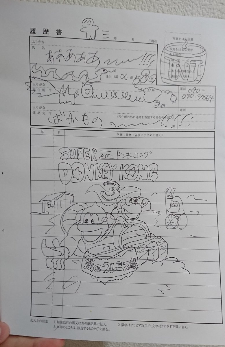 履歴書の落書き これすごいストレス発散になるわ 履歴書の落書き これすごいストレス発散になるわ