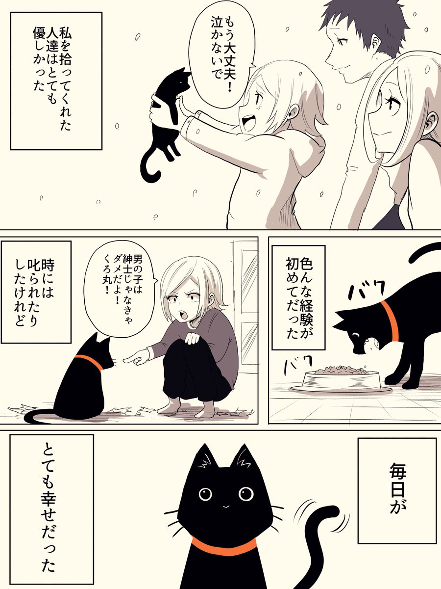 捨て猫が人間から愛情をもらう話 #猫の日 