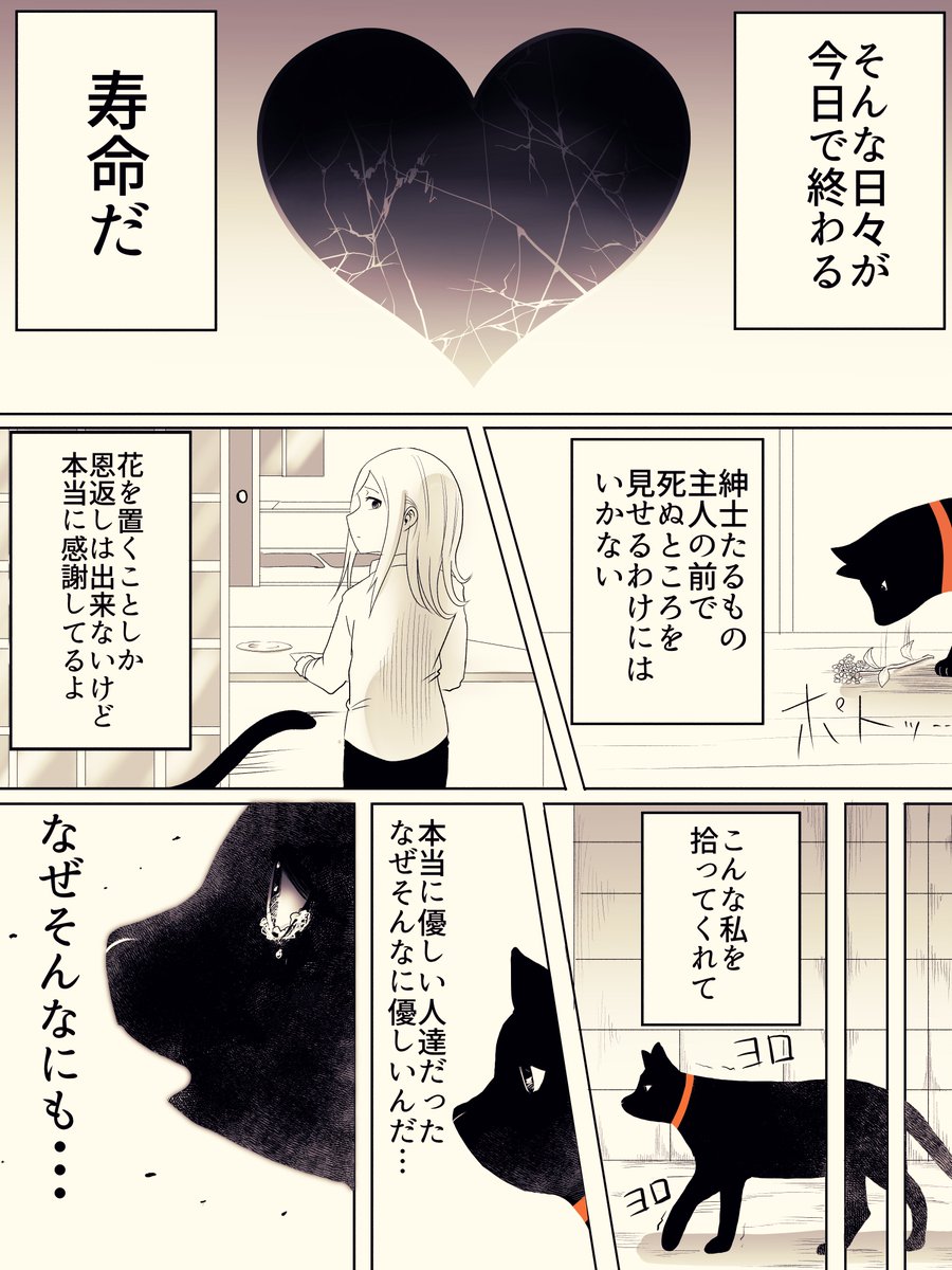 捨て猫が人間から愛情をもらう話 #猫の日 